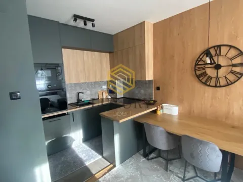 Rent, one bedroom apartment, 45m², Pobrežje, Podgorica - image 5