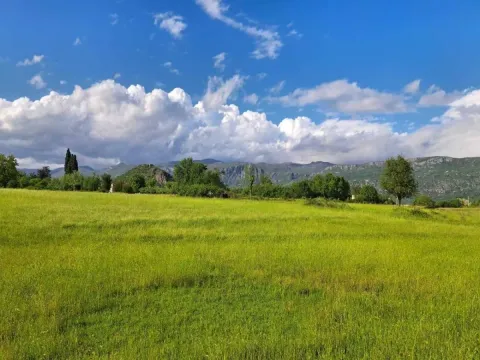 Pogled na zelenu livadu sa planinama u pozadini. - image 2