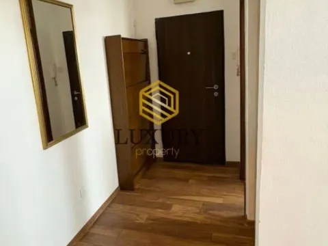 Izdavanje, jednosoban stan, 43m², Stari Aerodrom, Podgorica - image 3