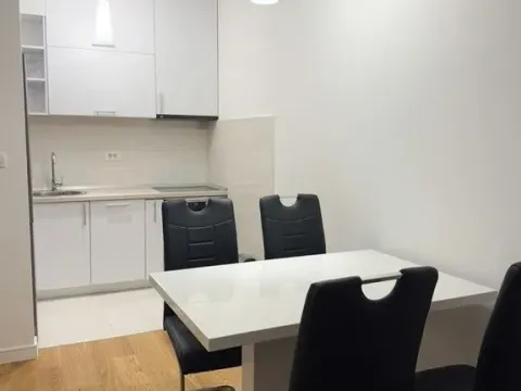 Izdavanje, jednosoban stan, 46m², Central Point, Podgorica