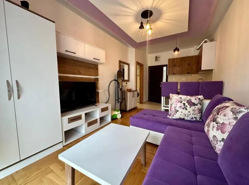 Living room with a sofa and television.