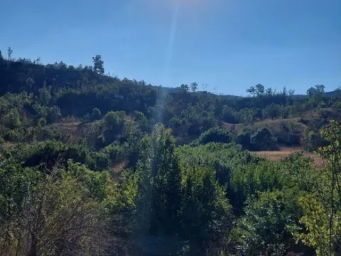 Prodaja, plac, 480000m², Brestice, Nikšić - image 8