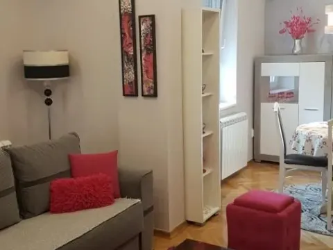 Izdavanje, dvosoban stan, 55m², Betanija, Novi Sad Sve Podlokacije - image 3