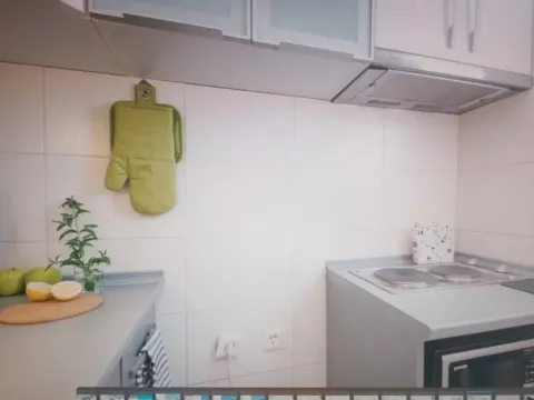 Izdavanje, jednosoban stan, 31m², Stari Grad, Beograd - image 7