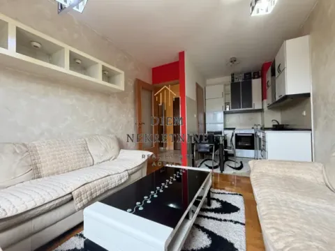 Izdavanje, jednosoban stan, 40m², Stari Aerodrom, Podgorica - image 7