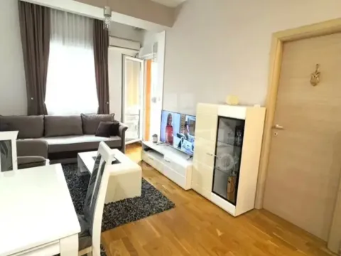Rent, one bedroom apartment, 42m², Ljubović, Podgorica - image 3