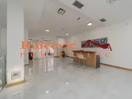 Prodaja, poslovni prostor, 187m², Banjica, Voždovac Sve Podlokacije - image 11