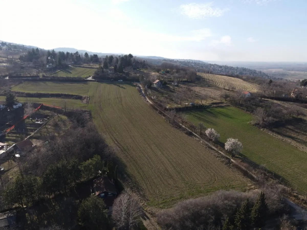 Prodaja, plac, 12268m², Ledinci, Petrovaradin