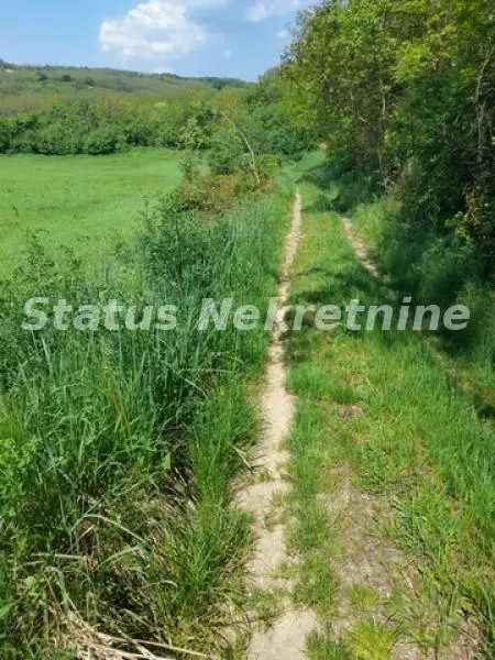 Prodaja, plac, 7500m², Irig, Srbija
