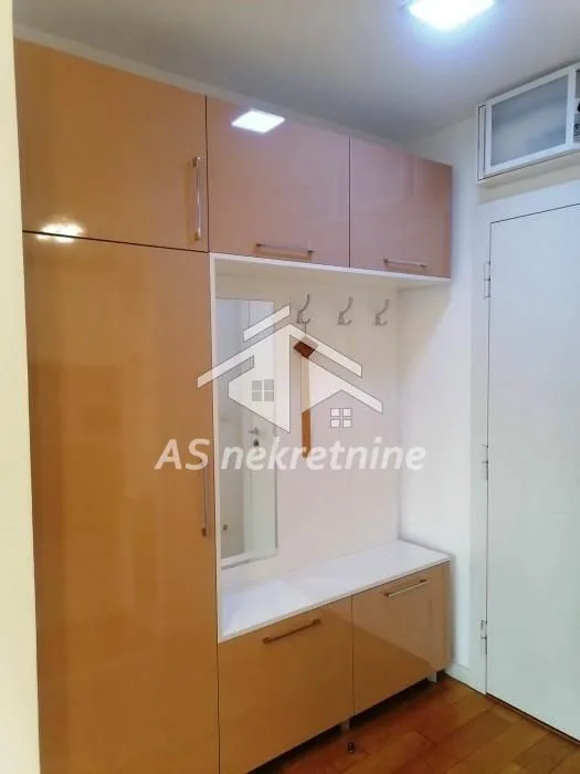 Izdavanje, dvosoban stan, 55m², Novi Beograd Blok 67, Novi Beograd Sve Podlokacije