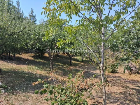 Prodaja, kuća, 30m², Ledinci, Petrovaradin - image 7