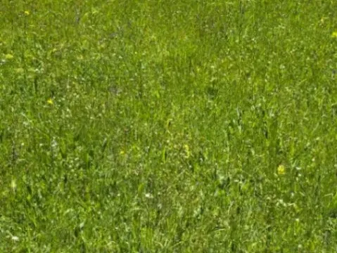 Sale, land lot, 22000m², Čevo, Cetinje - image 5