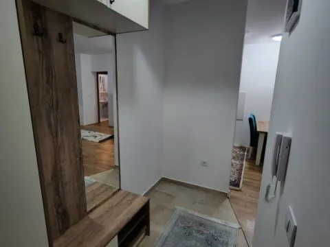 Izdavanje, jednosoban stan, 48m², Stari Aerodrom, Podgorica - image 3