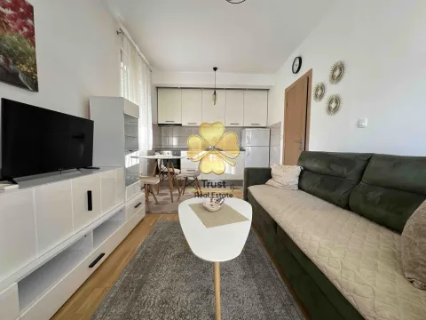 Izdavanje, jednosoban stan, 40m², Zabjelo, Podgorica - image 2