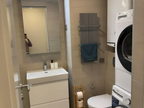 Rent, two bedroom apartment, 47m², Novi Beograd Blok 65, Novi Beograd Sve Podlokacije - image 8