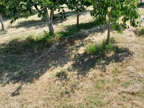 Prodaja, kuća, 212m², Martinići, Danilovgrad - image 3