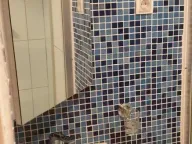 Izdavanje, dvosoban stan, 49m², Liman 4, Novi Sad Sve Podlokacije - image 12