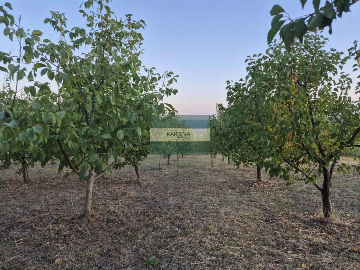 Prodaja, plac, 27920m², Siokovac, Jagodina