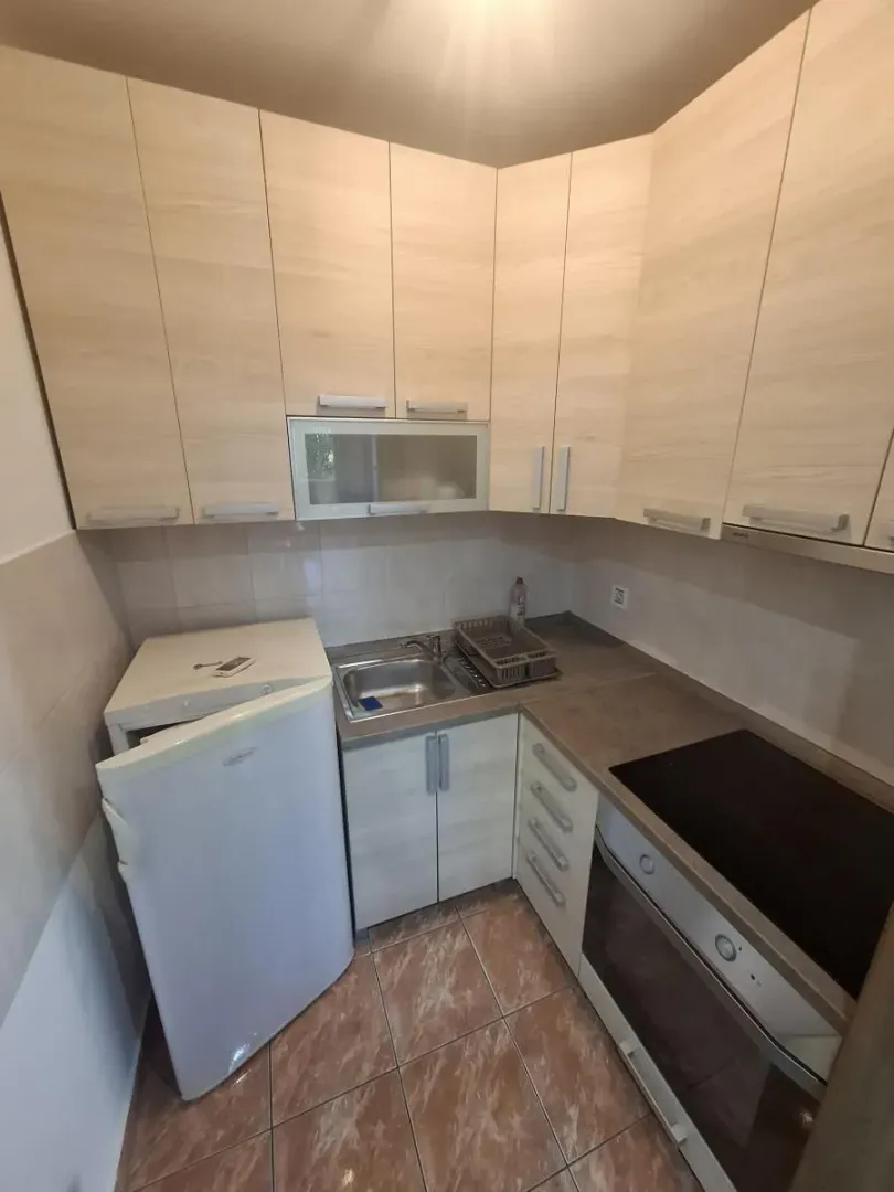 Manja kuhinja sa drvenim elementima, sudoperom, ugradnom pločom i frižiderom.