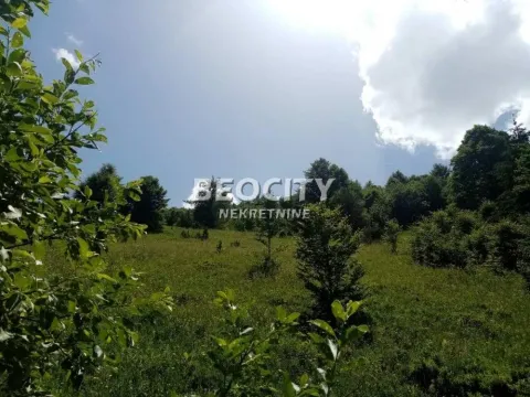 Sale, land lot, 100m², Golija, Ivanjica - image 3