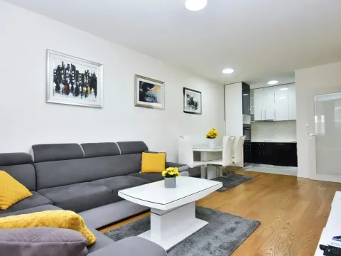 Izdavanje, jednosoban stan, 50m², Central Point, Podgorica - image 1