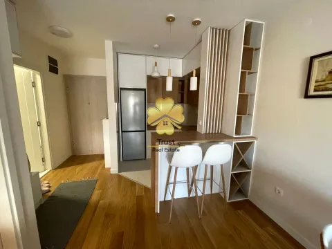 Izdavanje, jednosoban stan, 45m², City Kvart, Podgorica - image 4