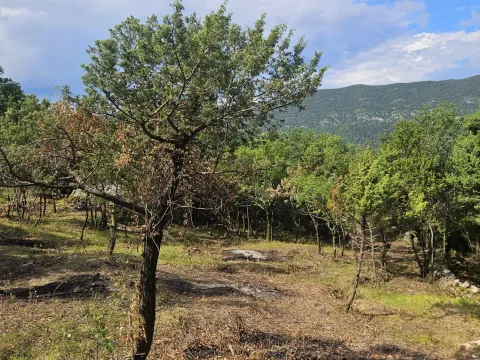 Prodaja, plac, 500m², Mojdež, Herceg Novi - image 4