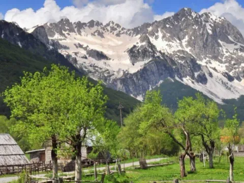 Sale, land lot, 435m², Kolašin, Crna Gora