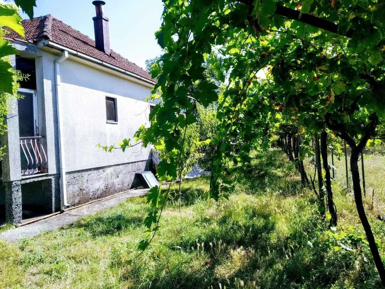 Pogled na dvorište i fasadu kuće sa vinovom lozom.