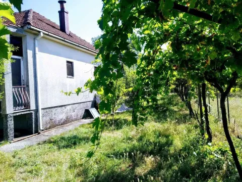 Pogled na dvorište i fasadu kuće sa vinovom lozom. - image 5