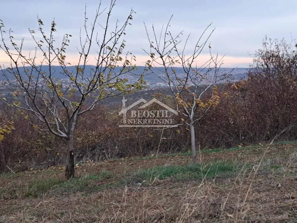 Sale, land lot, 8200m², Ritopek, Grocka
