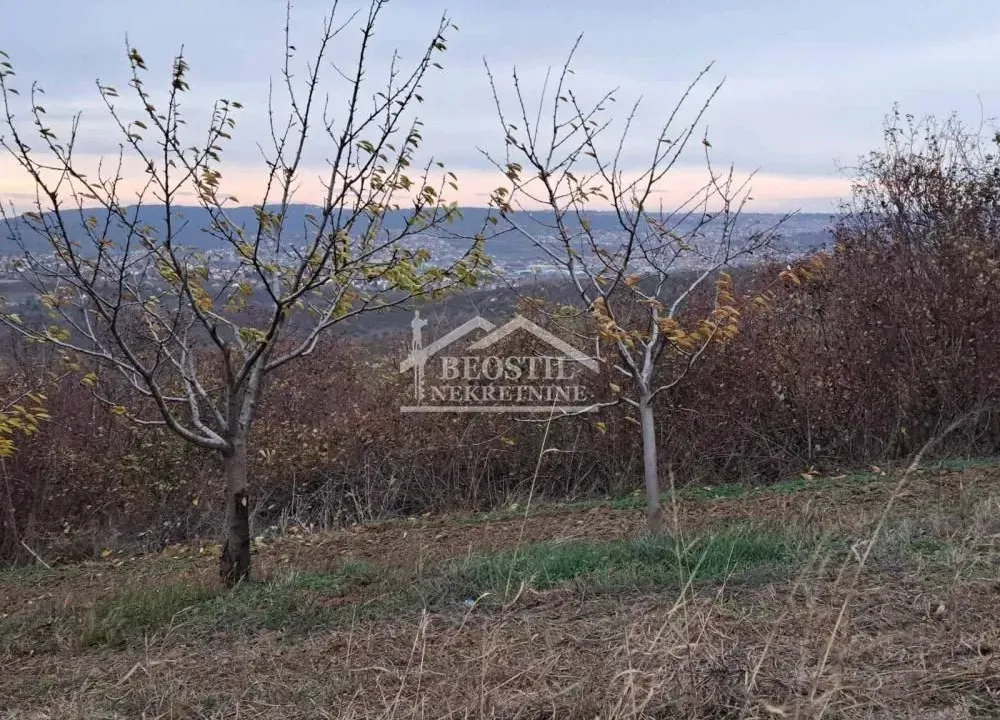 Prodaja, plac, 8200m², Ritopek, Grocka