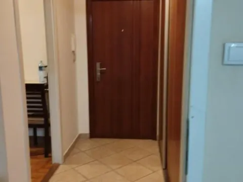 Izdavanje, dvosoban stan, 45m², Sajmište, Novi Sad - image 4