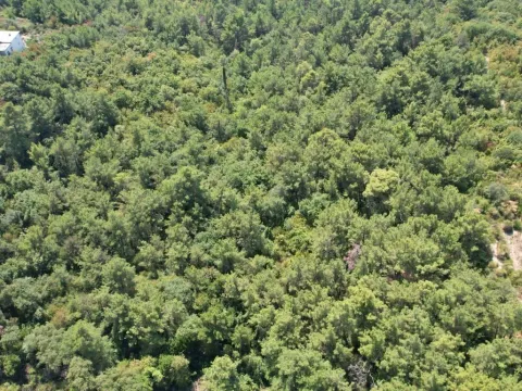 Sale, land lot, 7700m², Kavač, Kotor - image 23