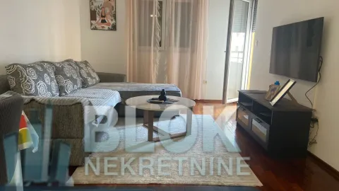 Izdavanje, jednosoban stan, 47m², Stari Aerodrom, Podgorica - image 2