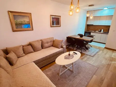 Izdavanje, jednosoban stan, 45m², City Kvart, Podgorica - image 9