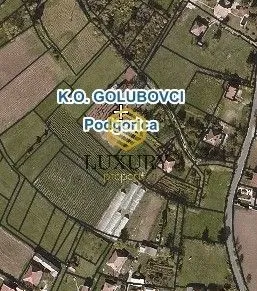 Prodaja, plac, 4000m², Zeta, Podgorica
