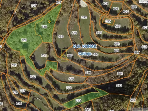 Prodaja, plac, 5300m², Bjeloši, Cetinje - image 2