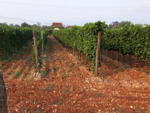 Prodaja, plac, 8924m², Jelenak, Danilovgrad - image 2