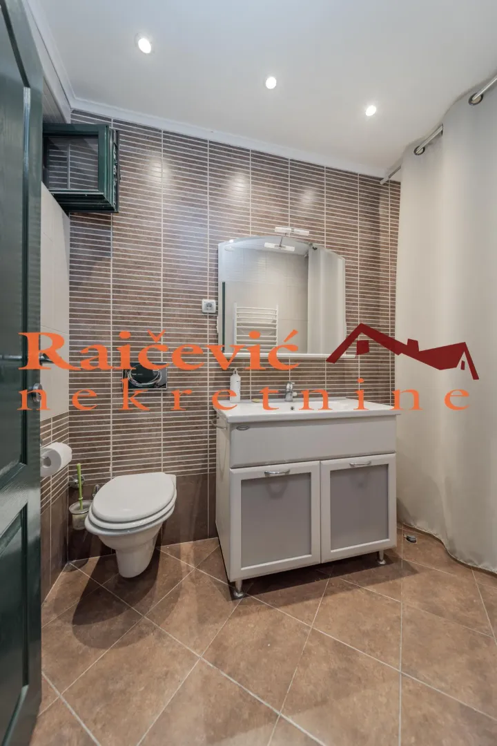 Bathroom with a vanity sink, toilet, and a shower area with a curtain.