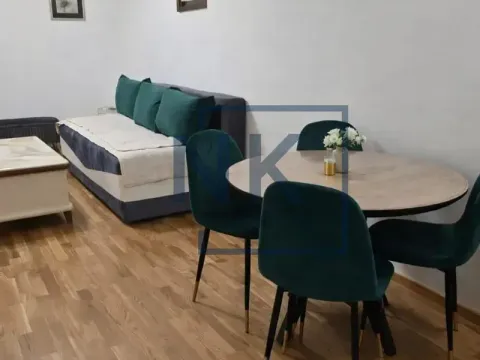 Rent, one bedroom apartment, 45m², Zagorič, Podgorica - image 3