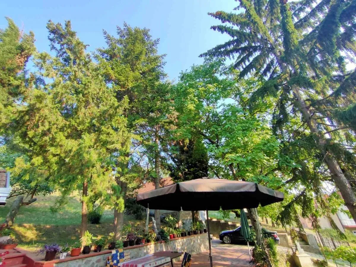 Prodaja, kuća, 250m², Sremska Kamenica, Petrovaradin