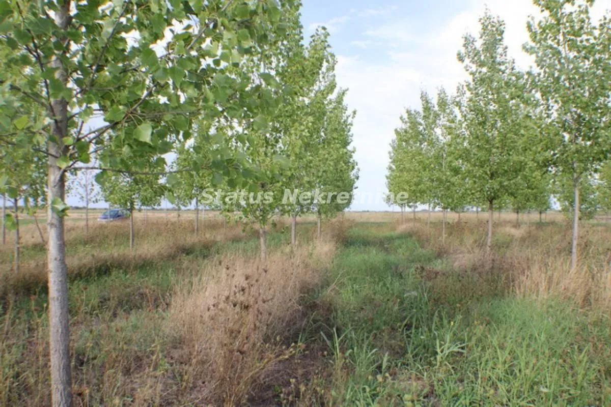 Prodaja, plac, 1378m², Zrenjanin, Srbija