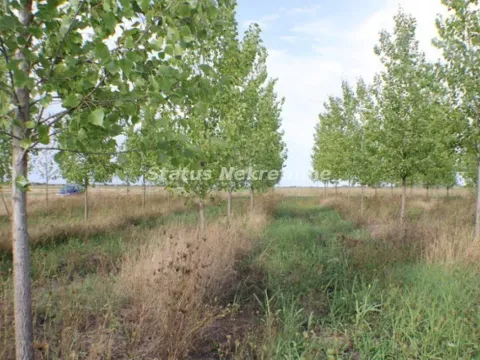 Prodaja, plac, 1378m², Zrenjanin, Srbija - image 26