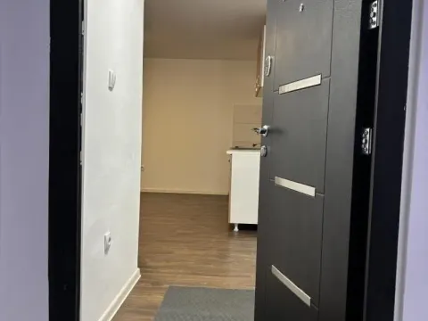 Rent, one bedroom apartment, 30m², Zvezdara Sve Podlokacije, Beograd - image 7