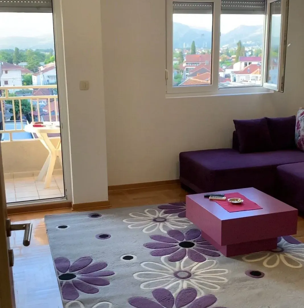 Izdavanje, jednosoban stan, 45m², Stari Aerodrom, Podgorica