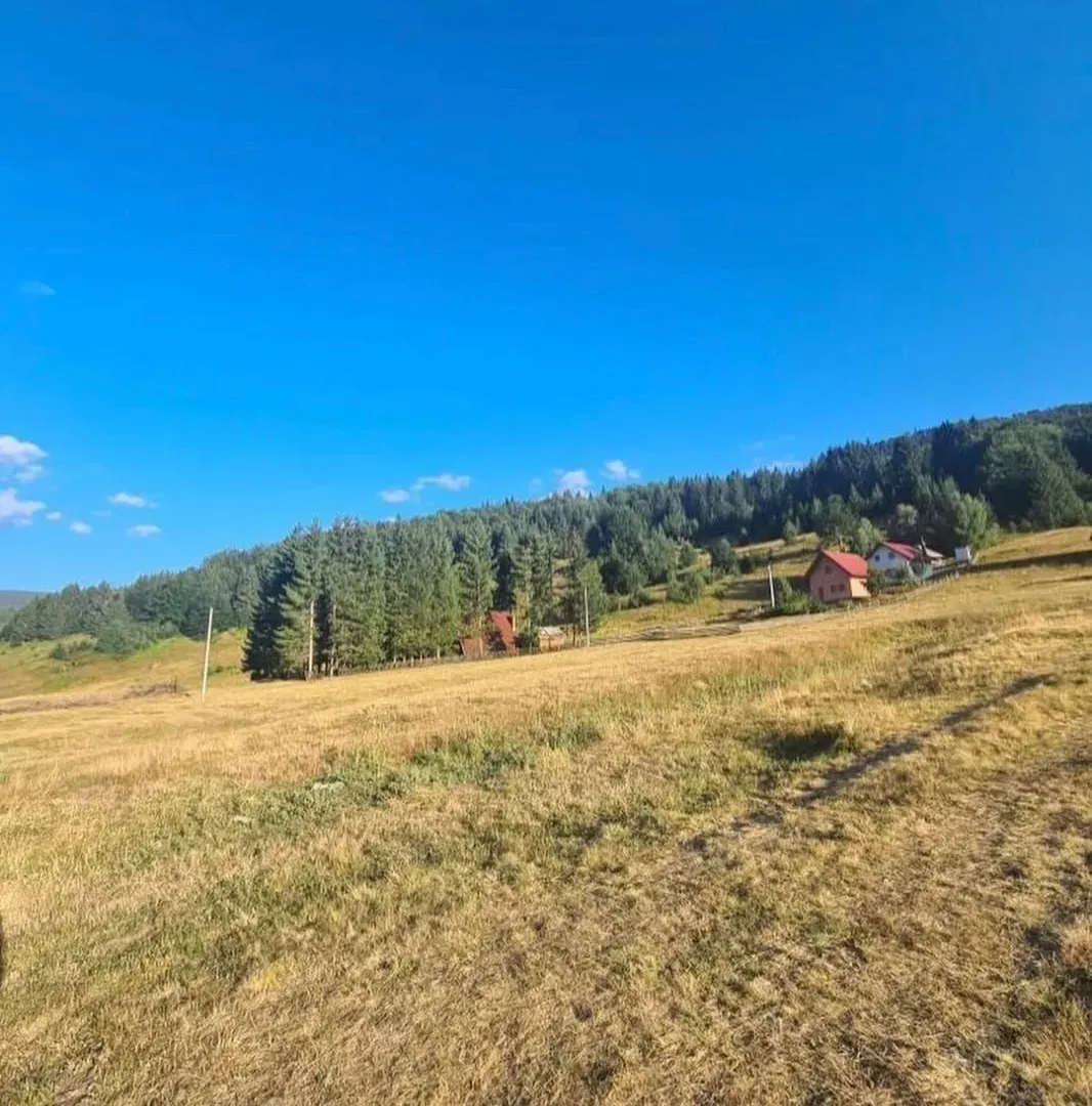 Prodaja, plac, 493m², Berane, Crna Gora