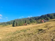 Sale, land lot, 493m², Berane, Crna Gora - image 5