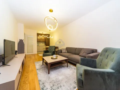 Izdavanje, jednosoban stan, 49m², Central Point, Podgorica - image 3