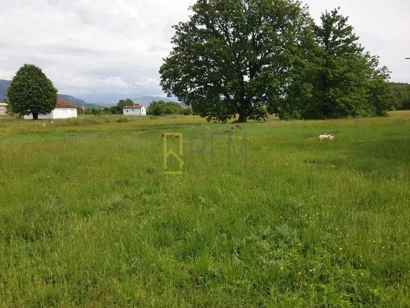 Sale, land lot, 12000m², Spuž, Danilovgrad